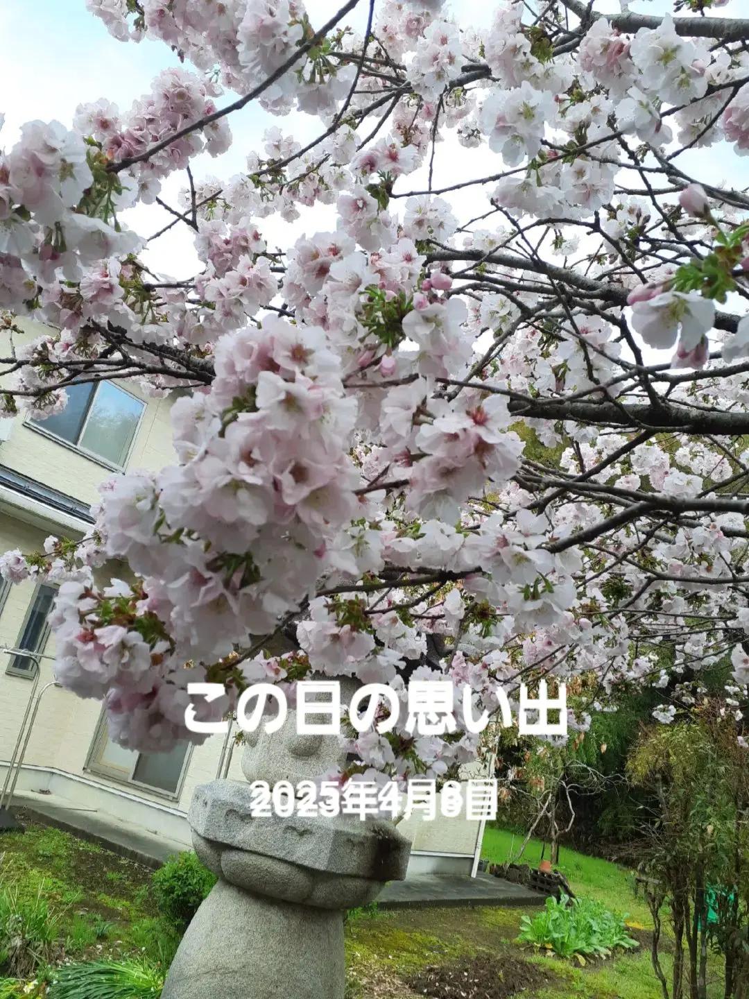 @ターボー