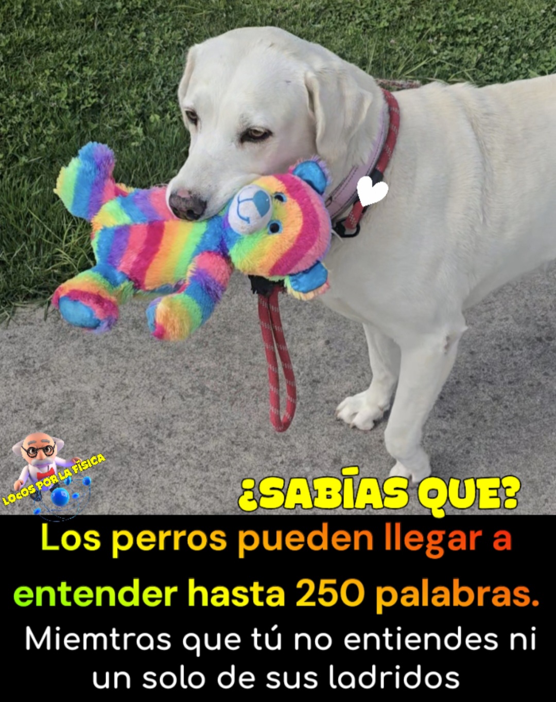 @Locos por la física