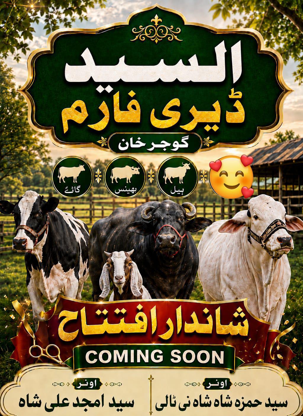 @syed بادشاہ 👑💯