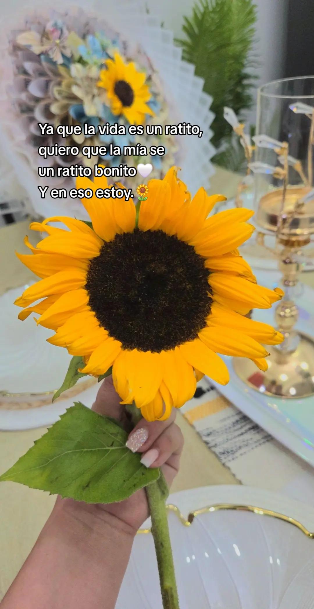 @Krys MC. 🌺Creations🌸
