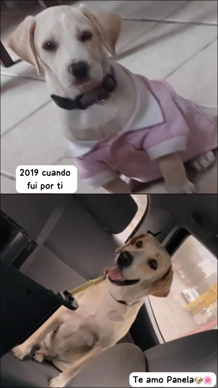 @nessa_narut