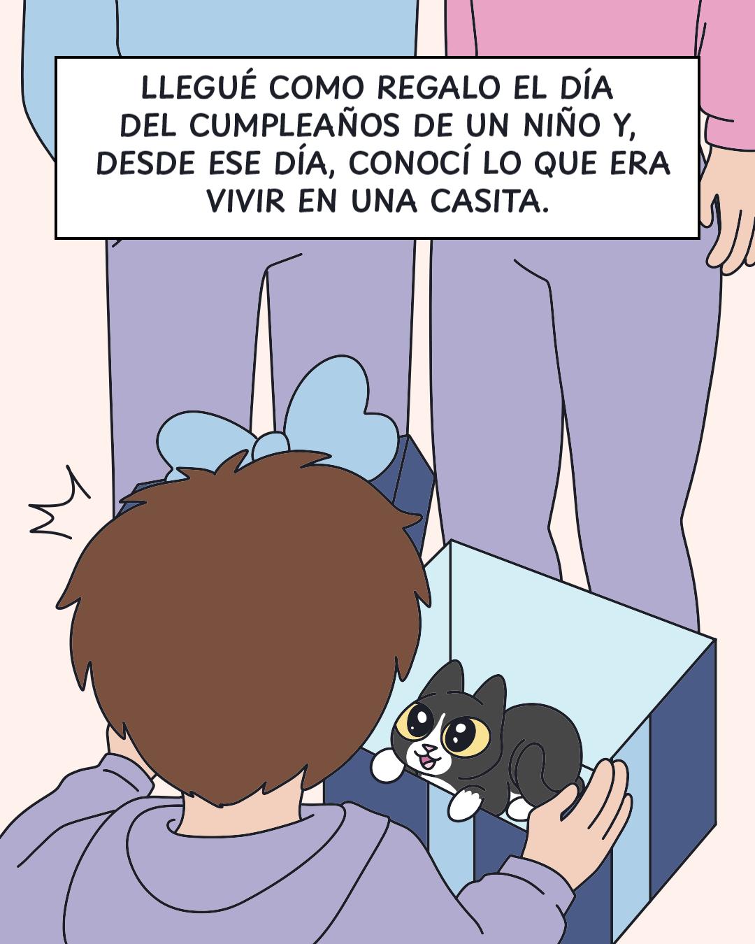 @Cosa de gatos