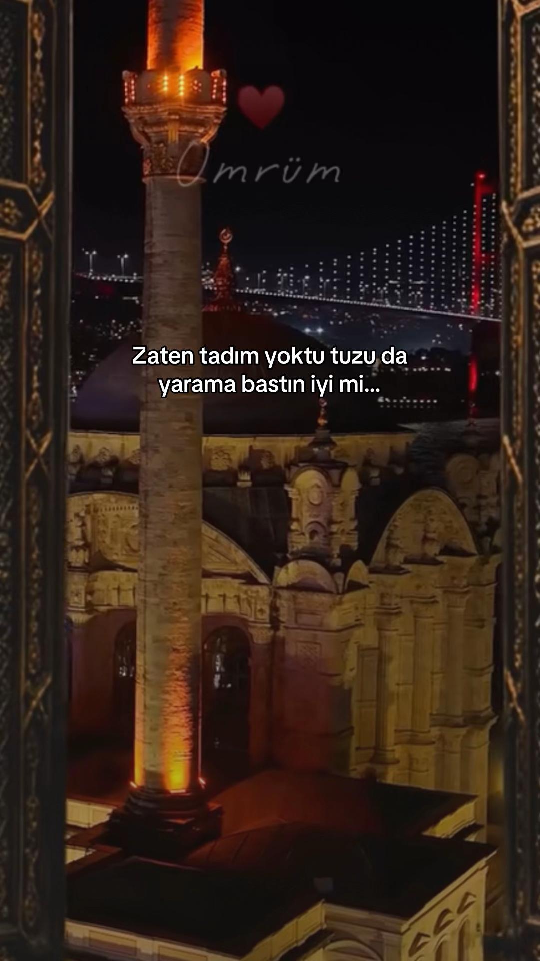@seviyorgibiydin24