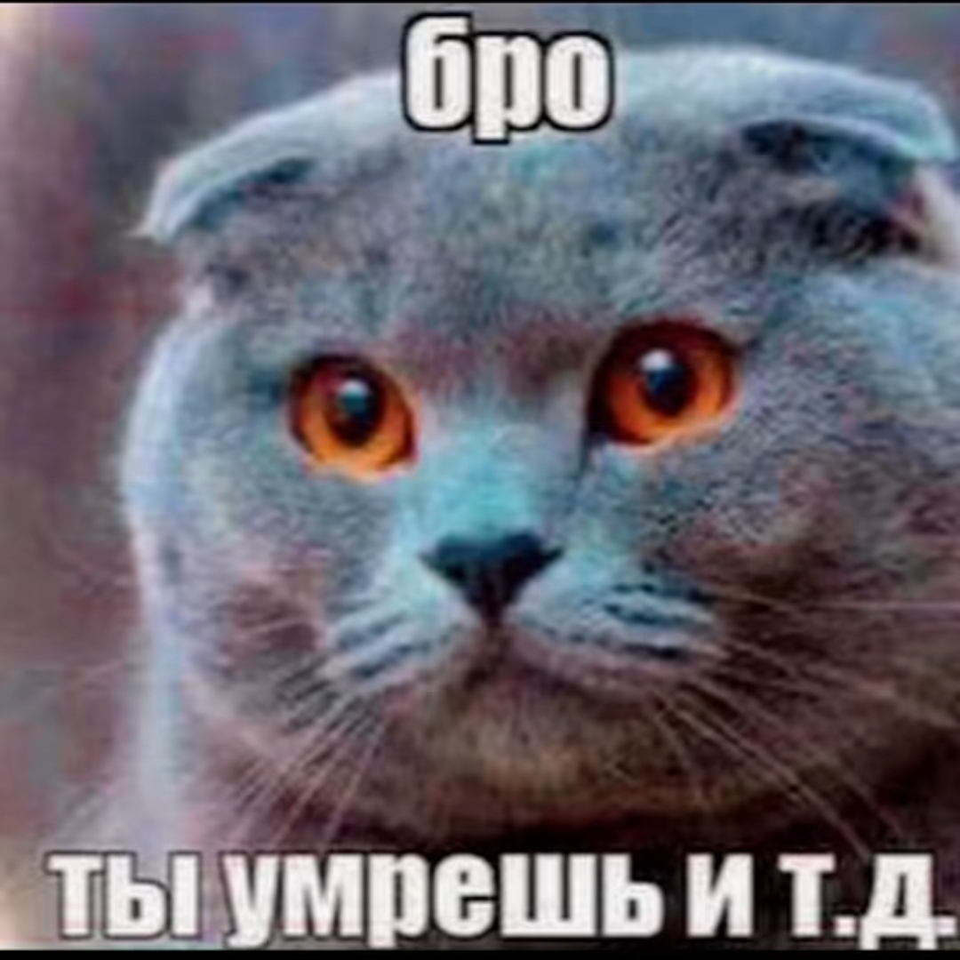 @_ᛉ_𐰔𐰋𐰀𐰂𐰖𐰐𐰉𐰐_ᛉ_