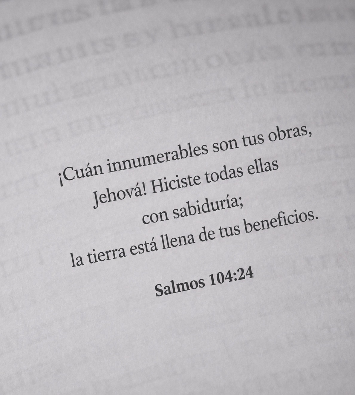 @Cesar Dario