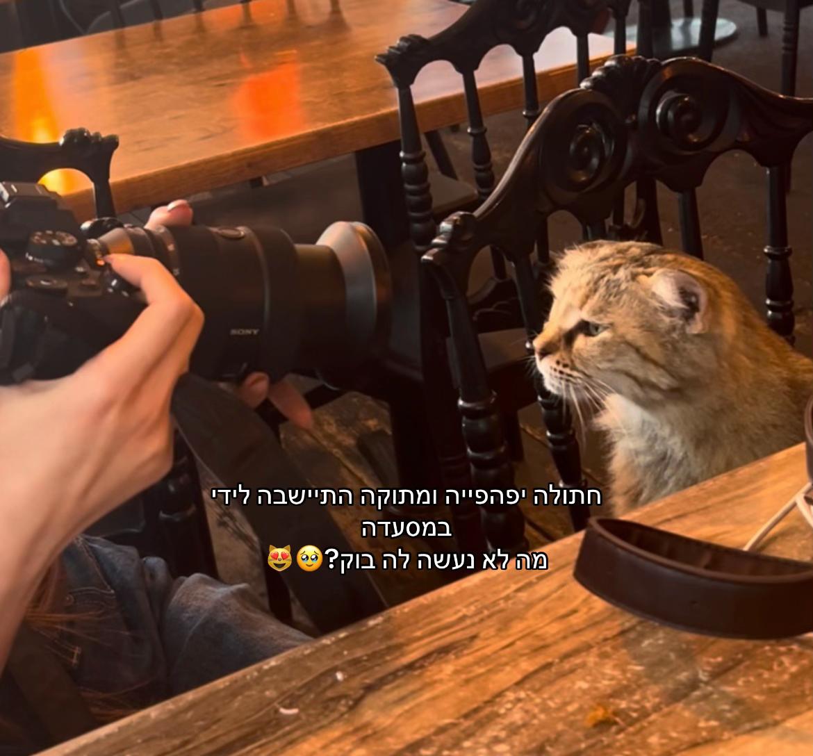 @๐ค