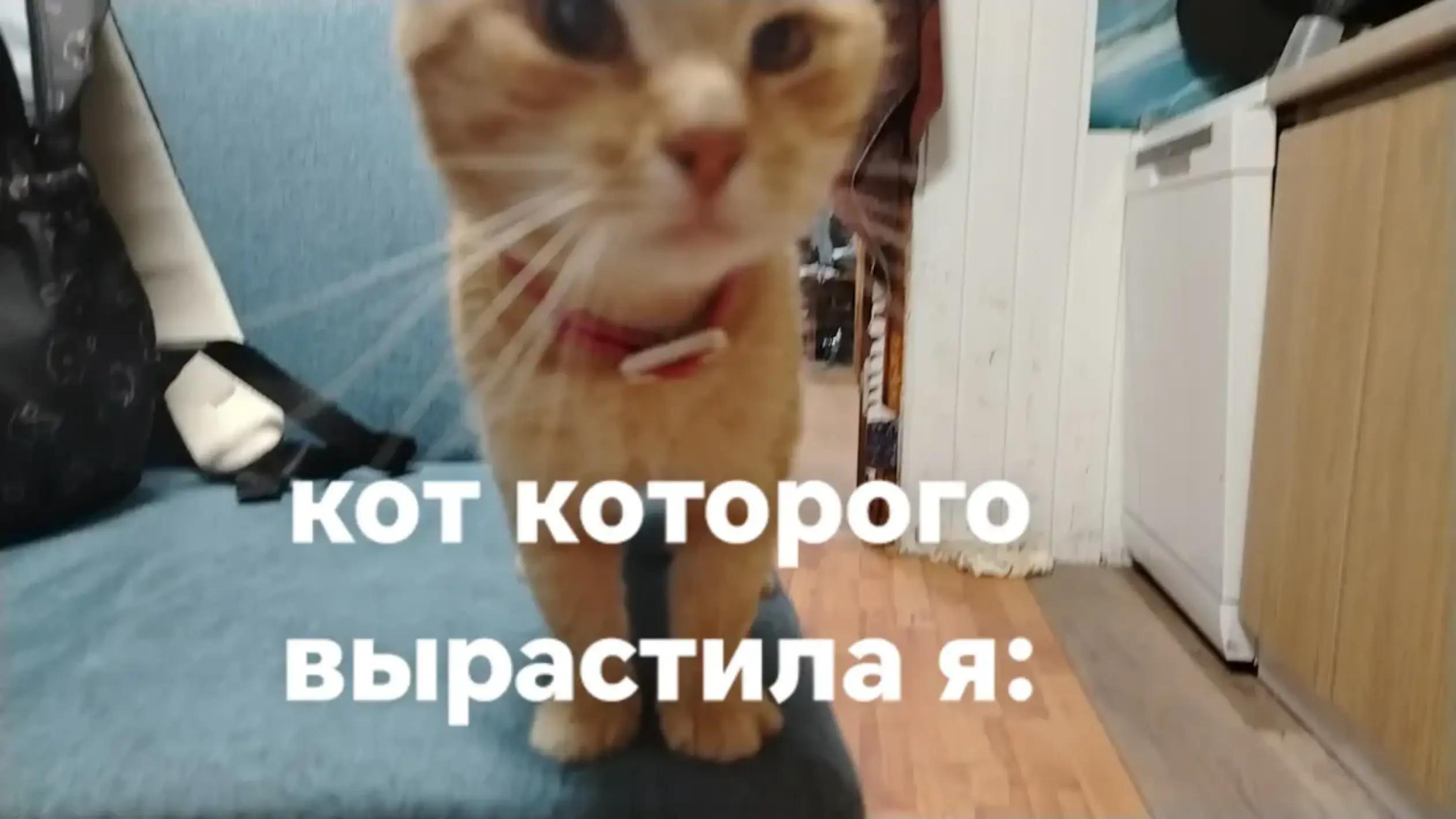 @Анастейша