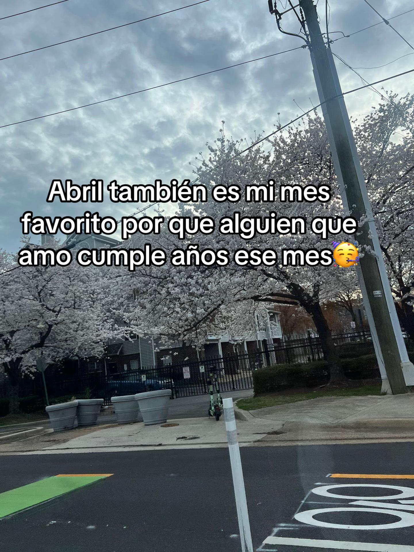 @sindyflores730