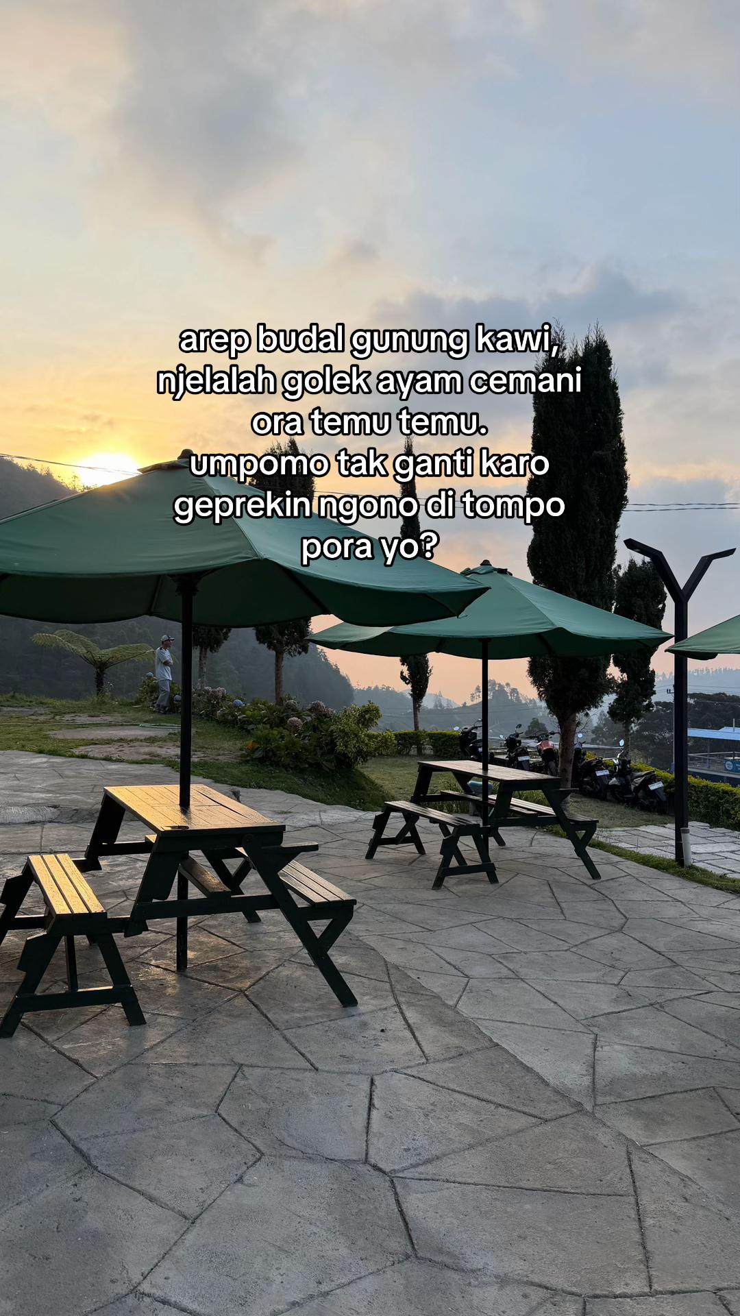 @kochy