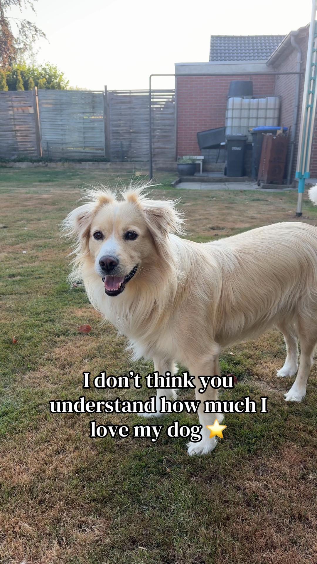 @L ⚢