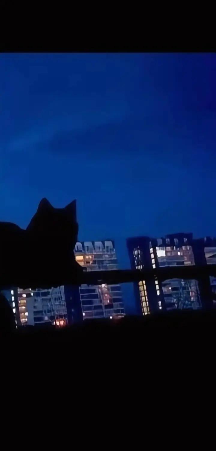 @┈━═☆𝕨𝕠𝕟𝕖𝕣☆═━┈