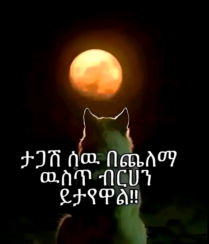 @tilahun moshago almue123456789