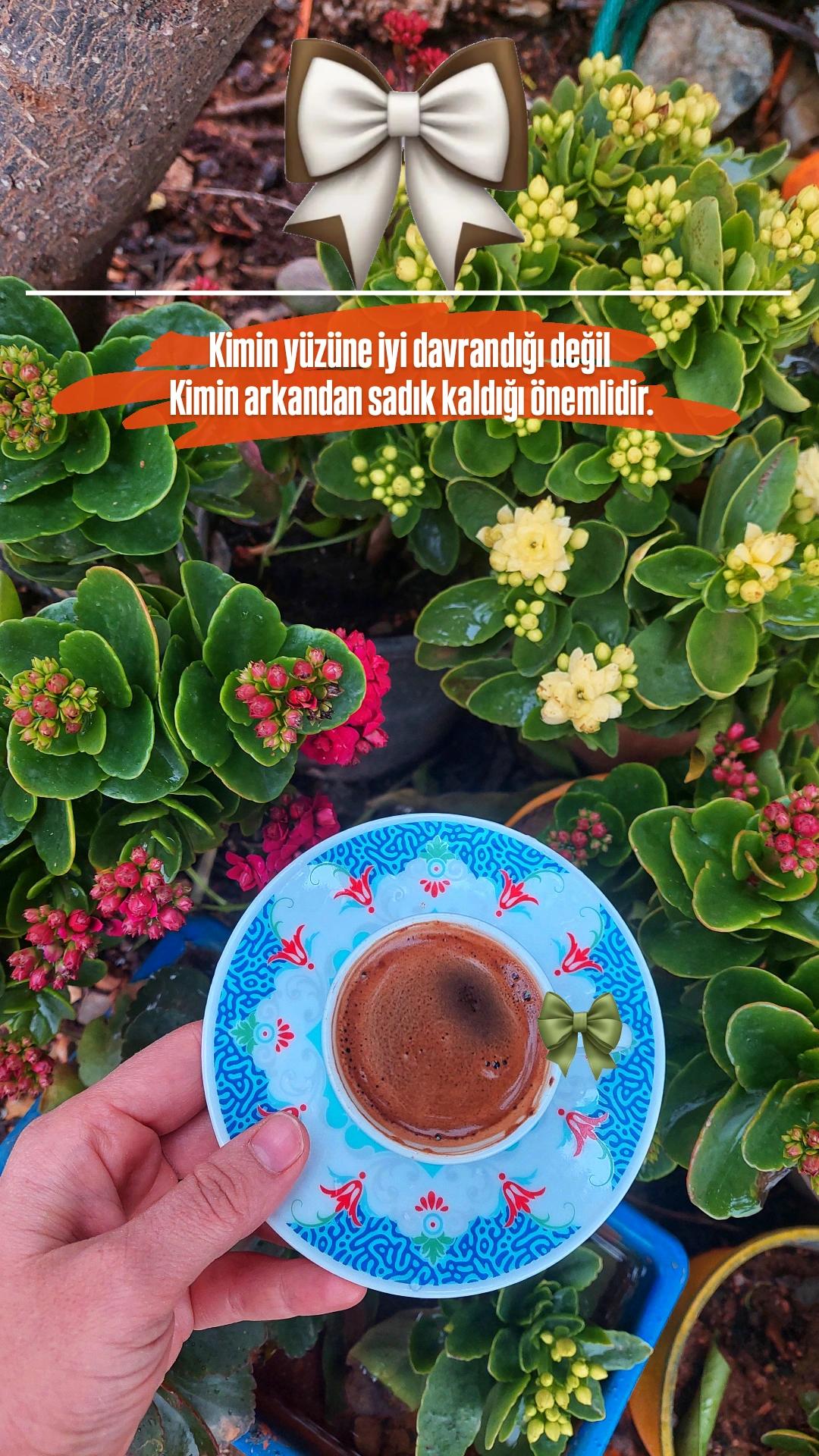 @Ayşegül Topaloğlu