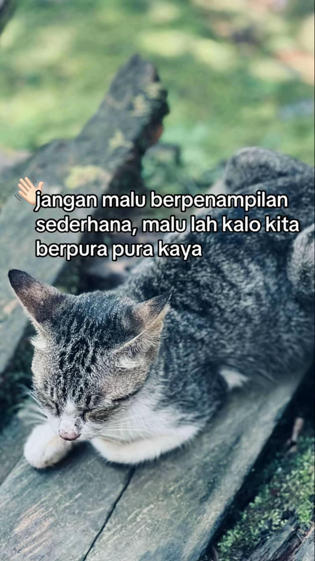 @Lukman Ahmady
