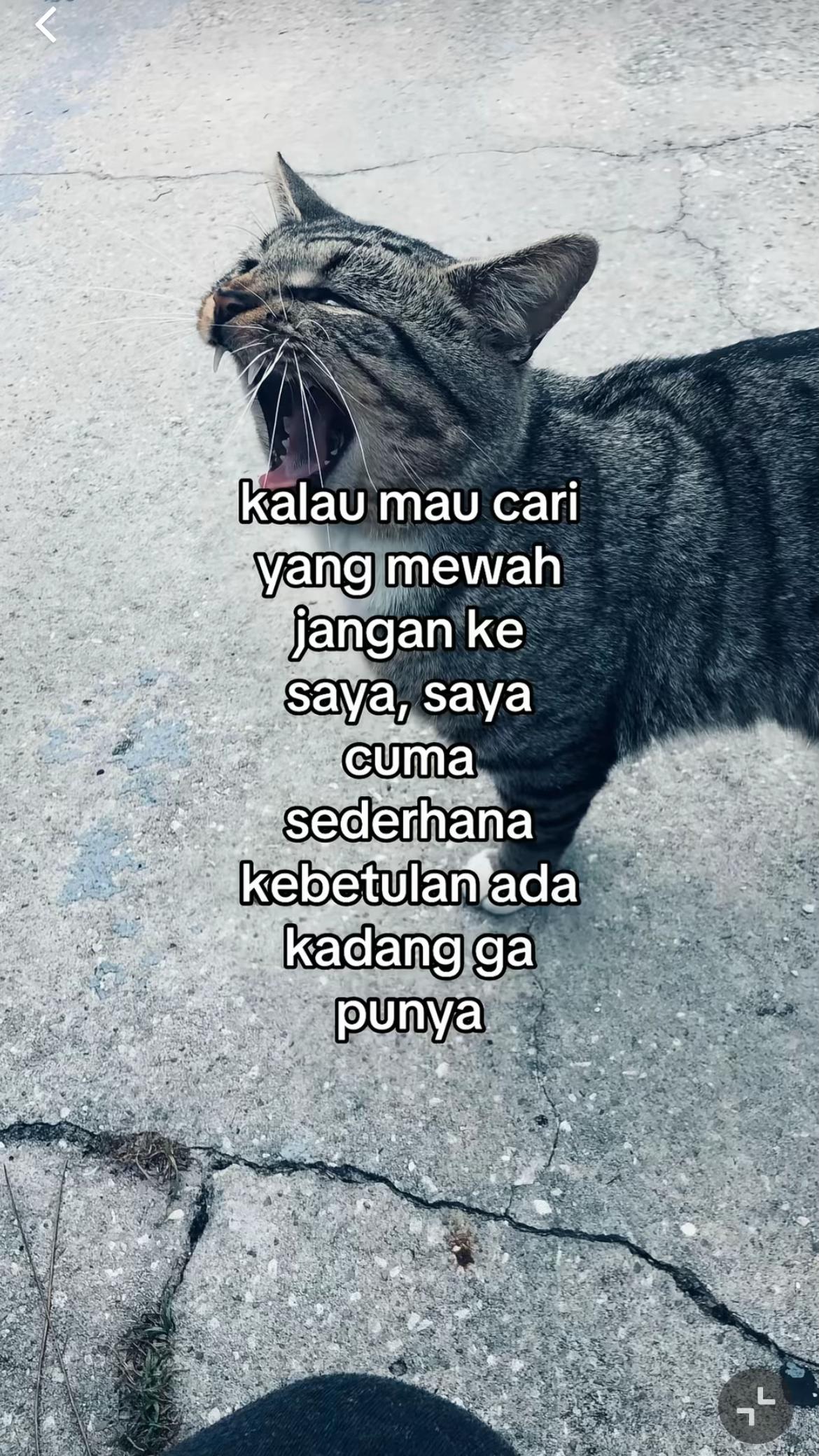 @๐ผ ๐ ๐ ๐