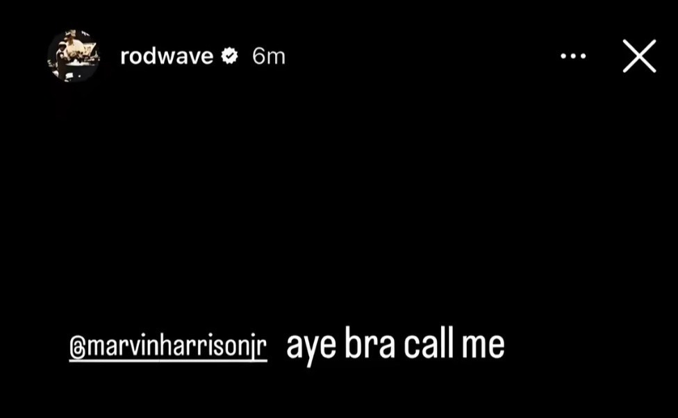 @Birds