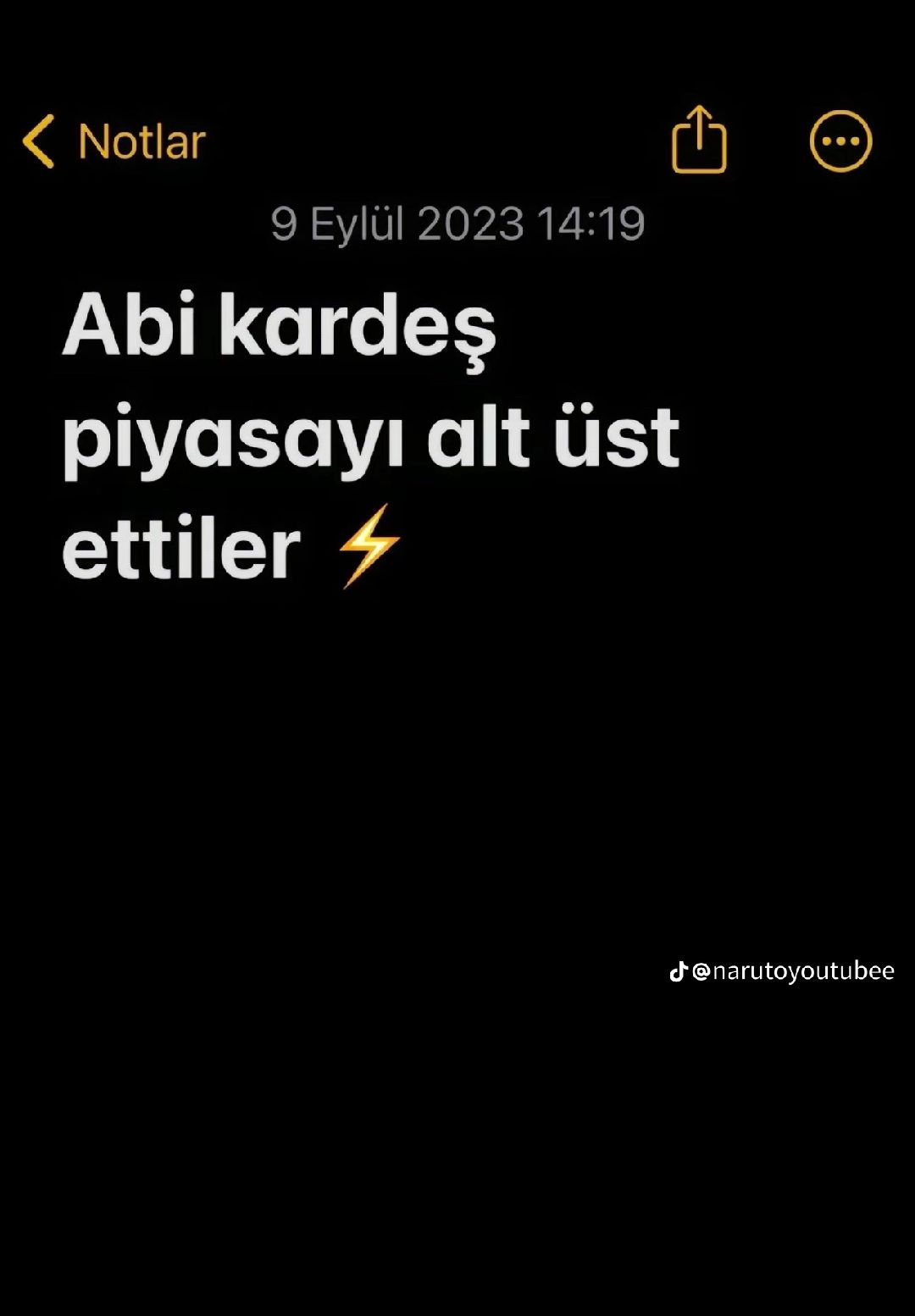 @YUSQA