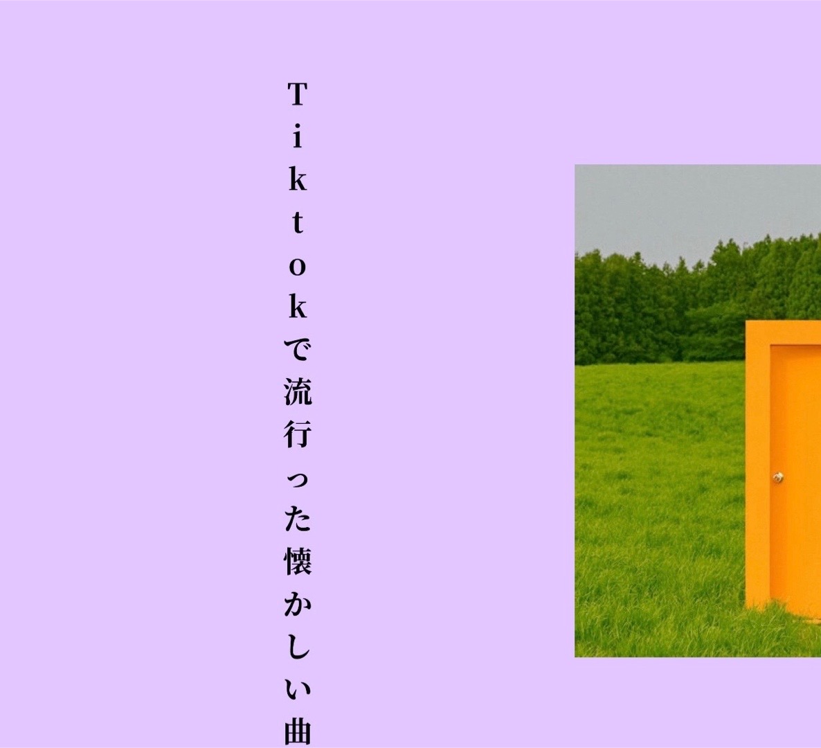 @seiraʕ•ᴥ•ʔ