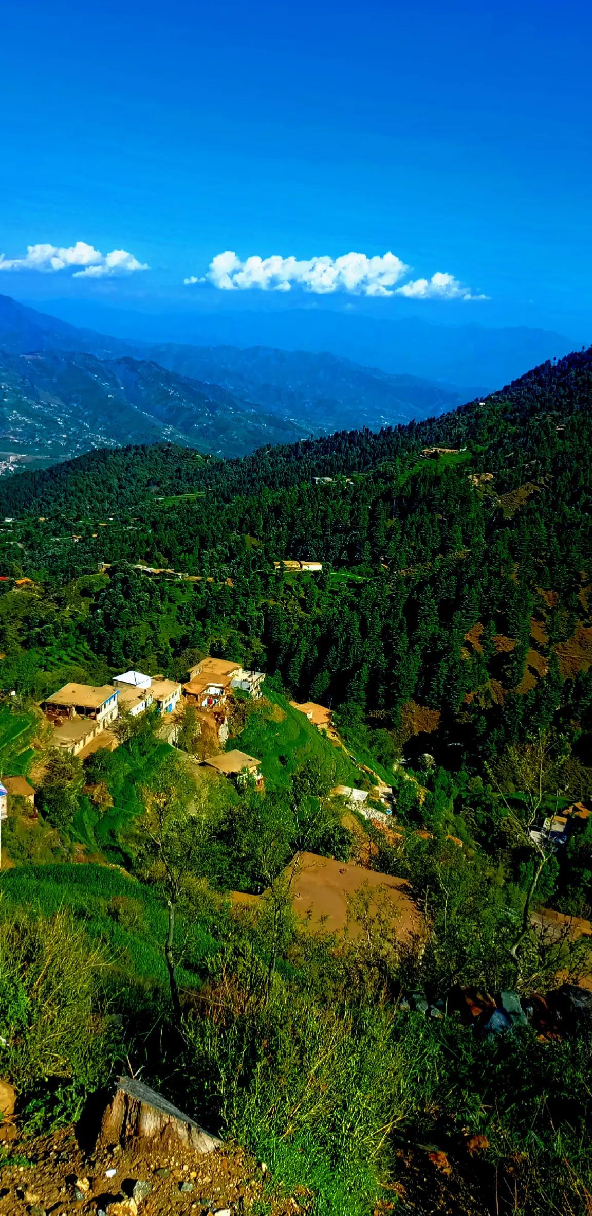 @🌲غر سنے 🌲