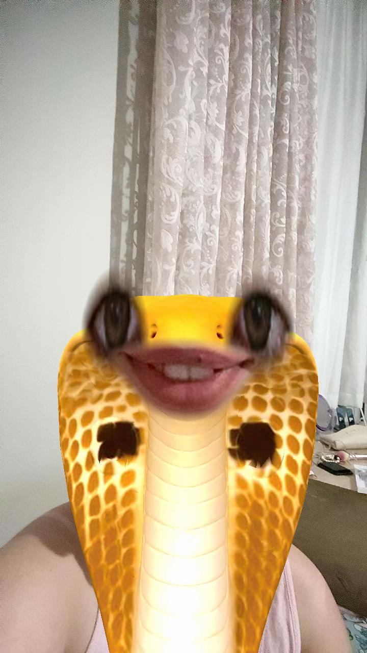 @👻