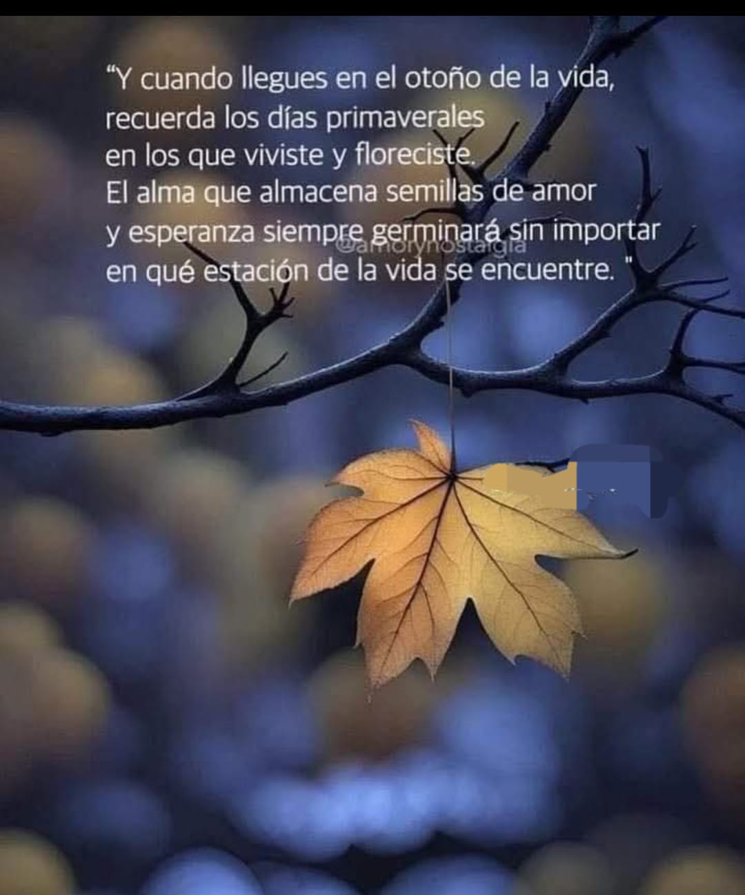 @Loli loli
