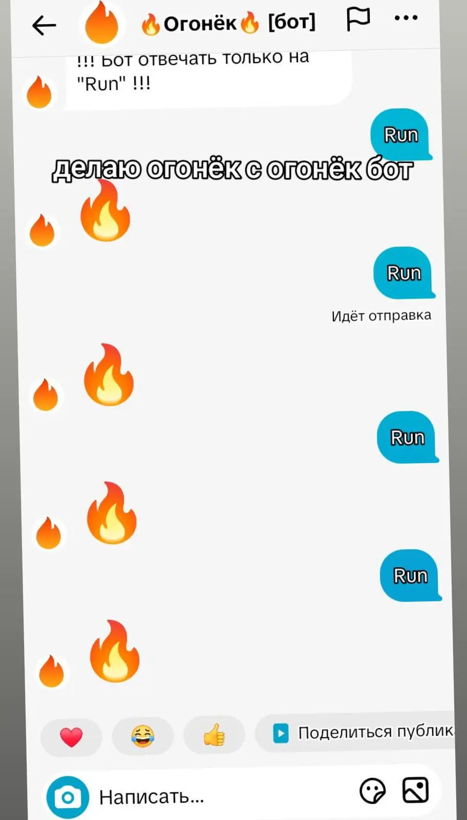 @Котогусеница
