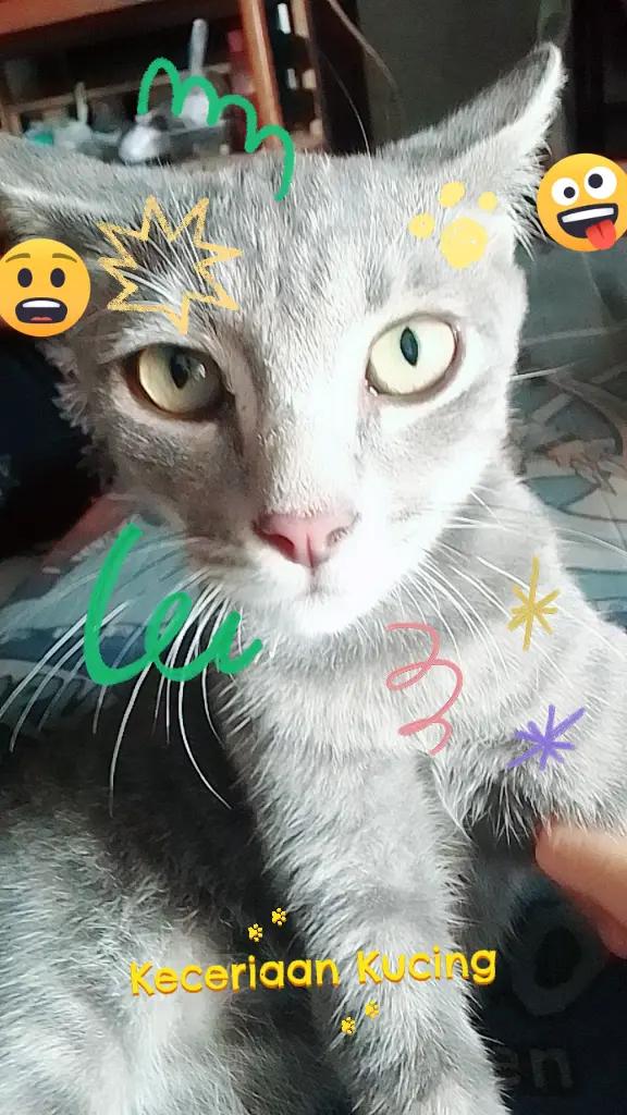 @๐ซ๐๐ป๐๐๐๐๐ญ๐๐๐๐๐๐๐ซ