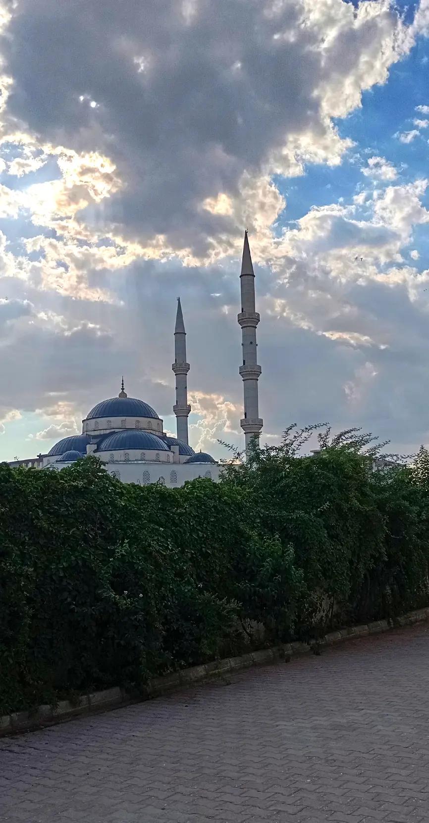 @aşçı hanım