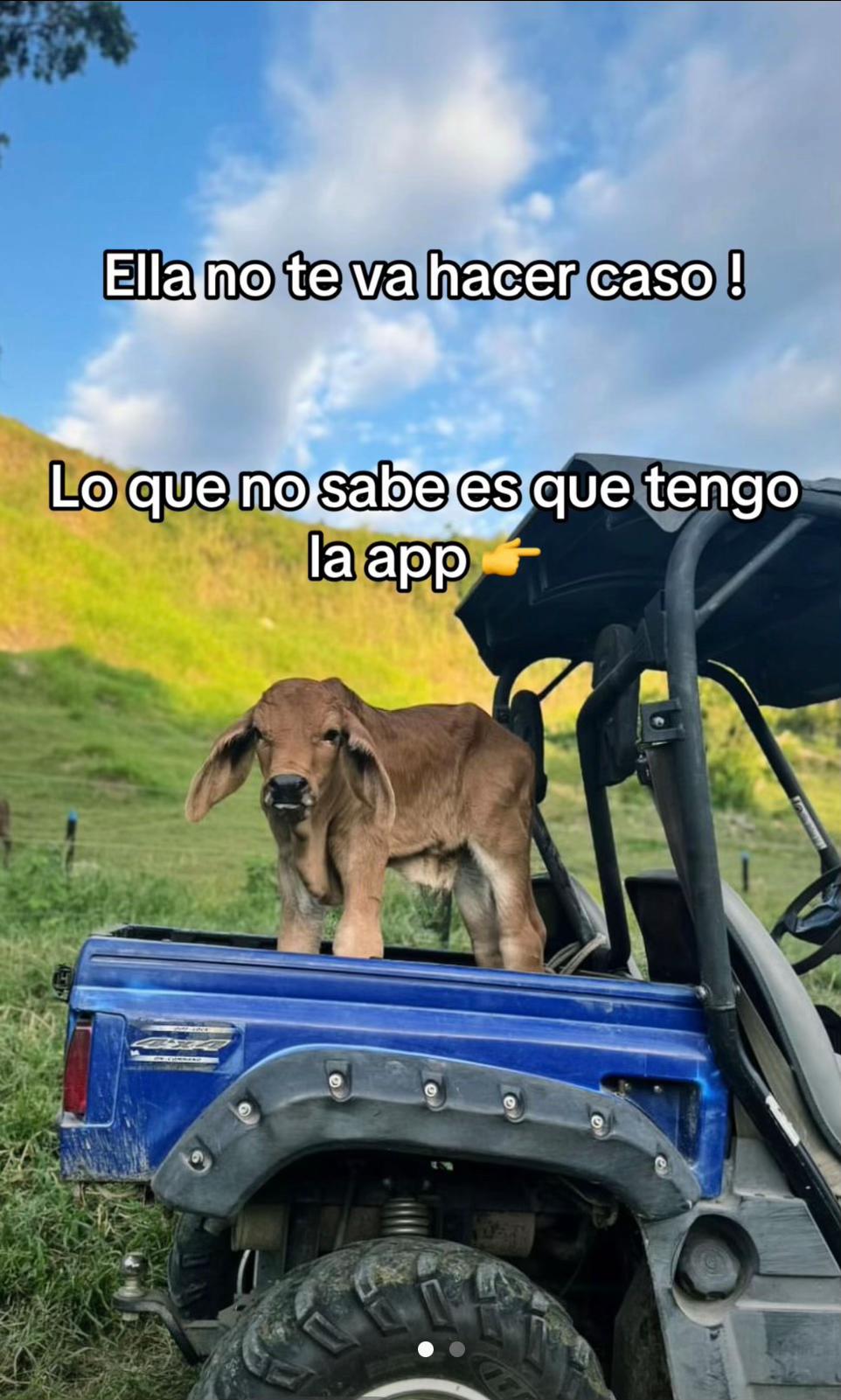 @Capo_Zebas333