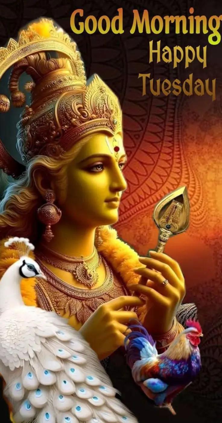 @janagisupramaniam5