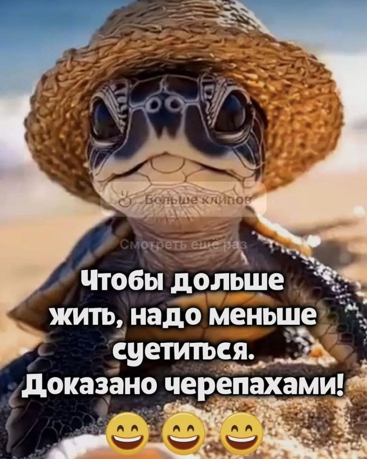 @Ольга