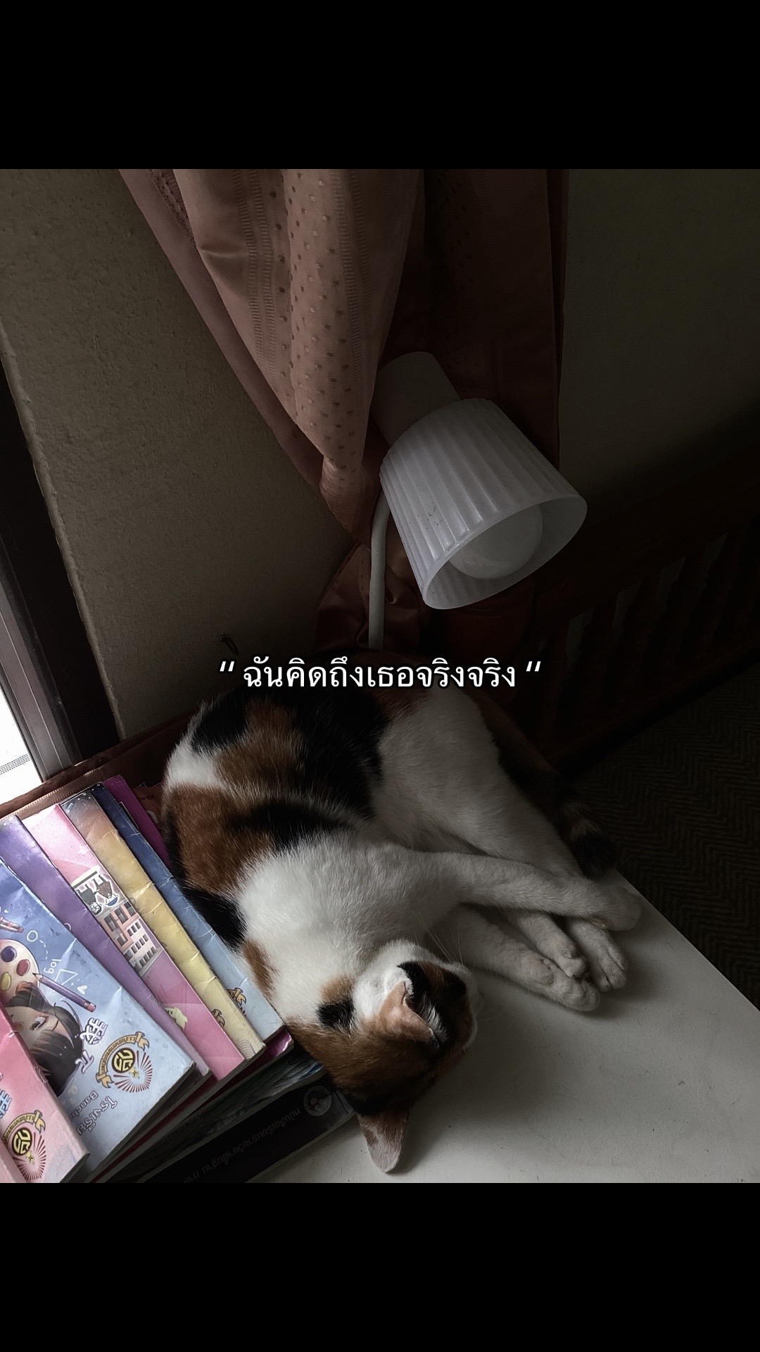 @ใครเพ้อเป้นหมา