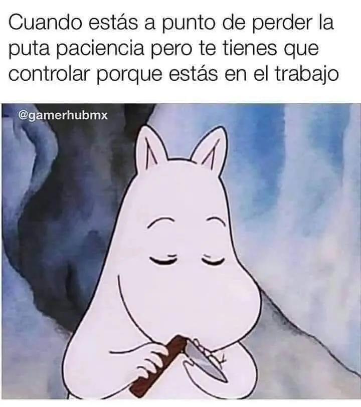 @yoapolo777