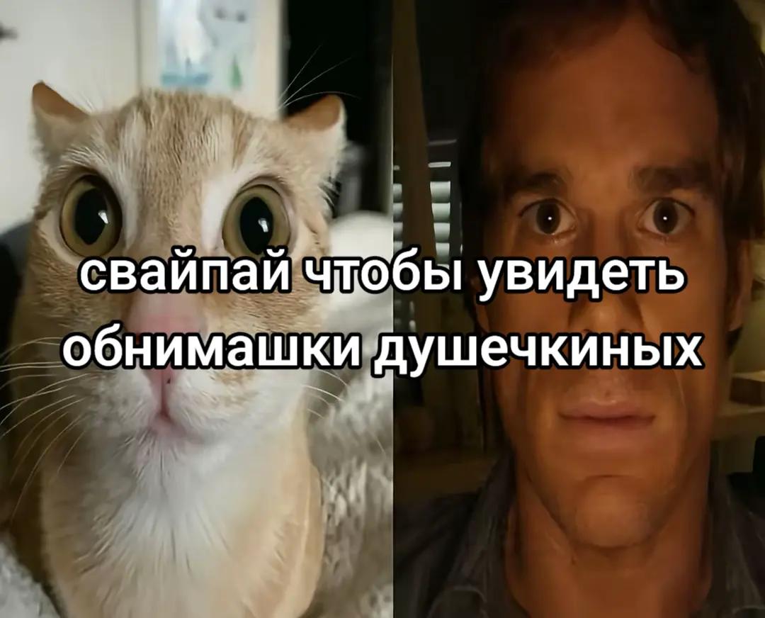 @vmerl0