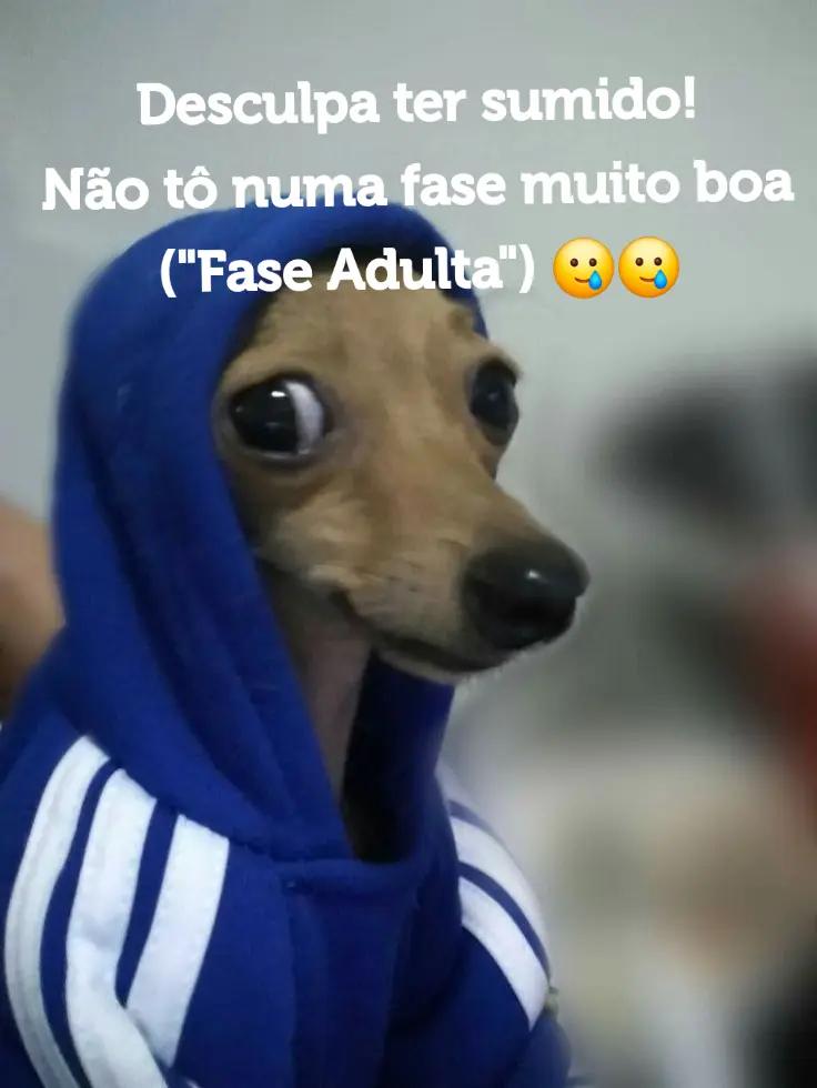 @Bibi