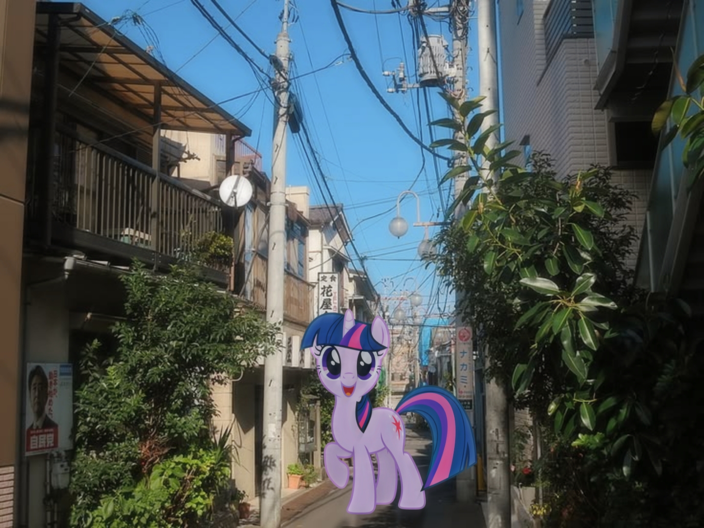 @mlp