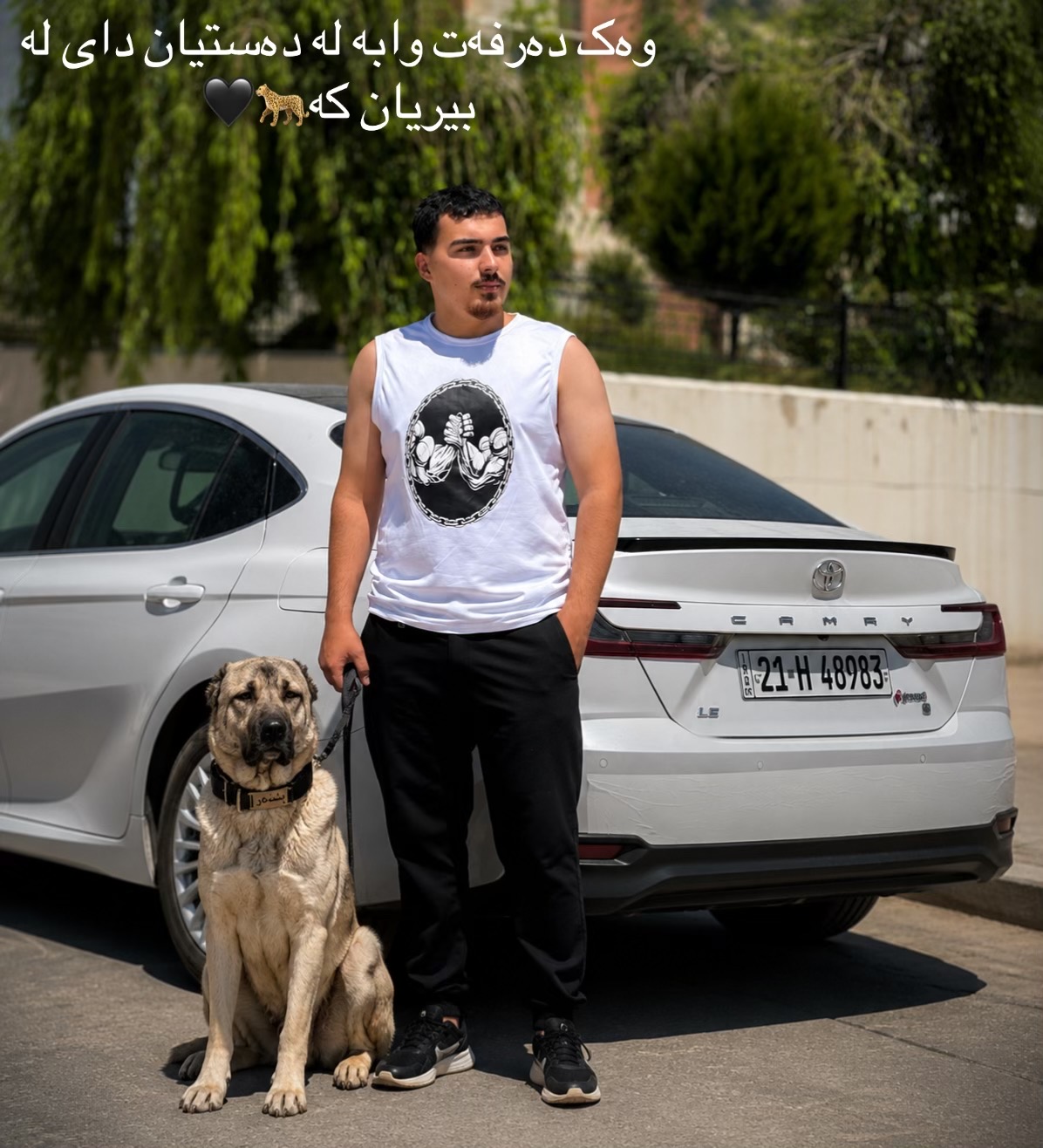 @هۆشمەند بنگردی