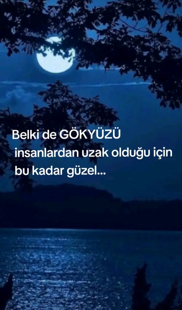 @mecnun