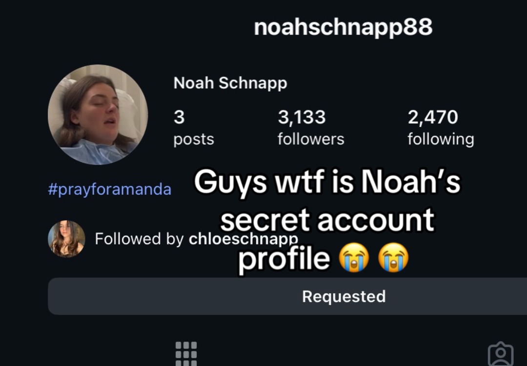 @schnappstruck