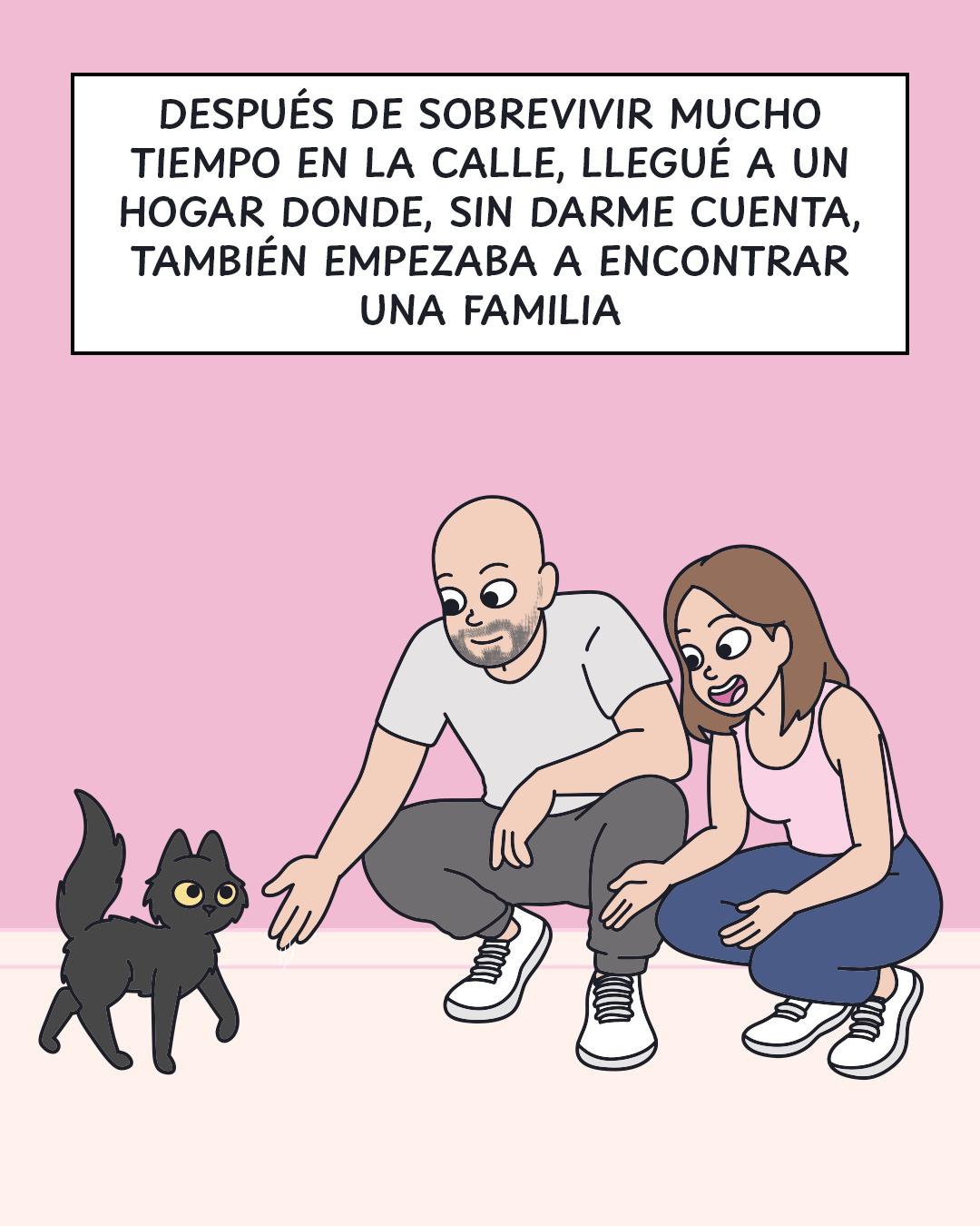 @Cosa de gatos