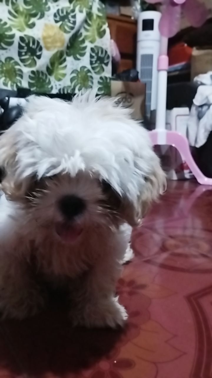 @Marieta Razo Uy