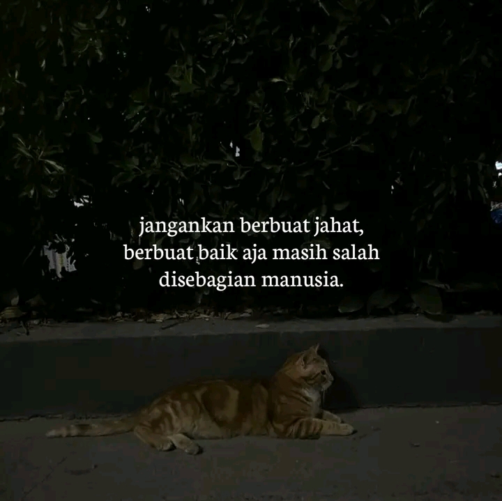 @ₜₑₕᶜᵃˢᵖᵉʳ