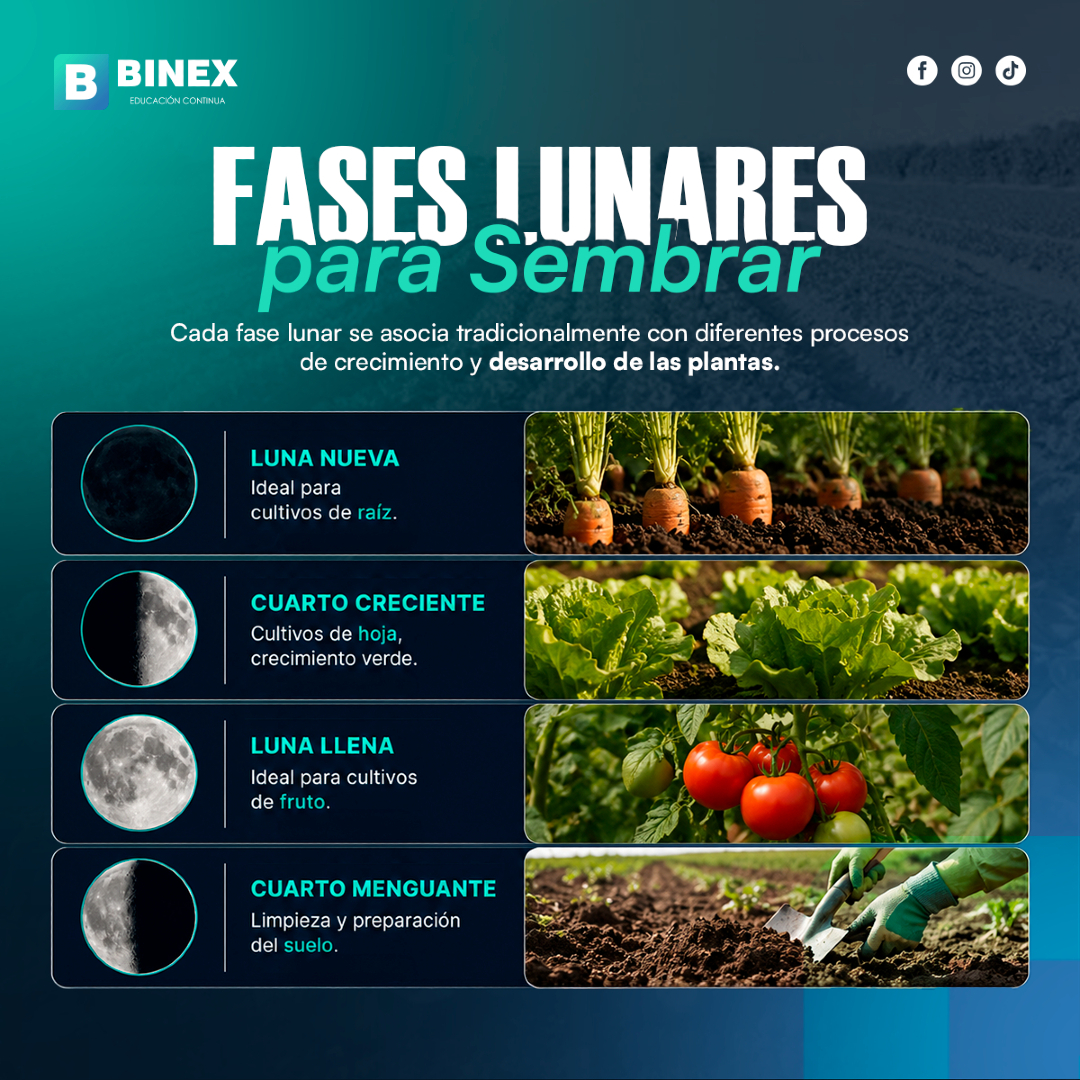 @BINEX Educación Continua