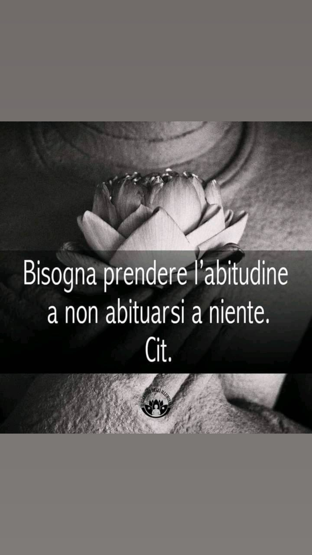 @concettacalisto
