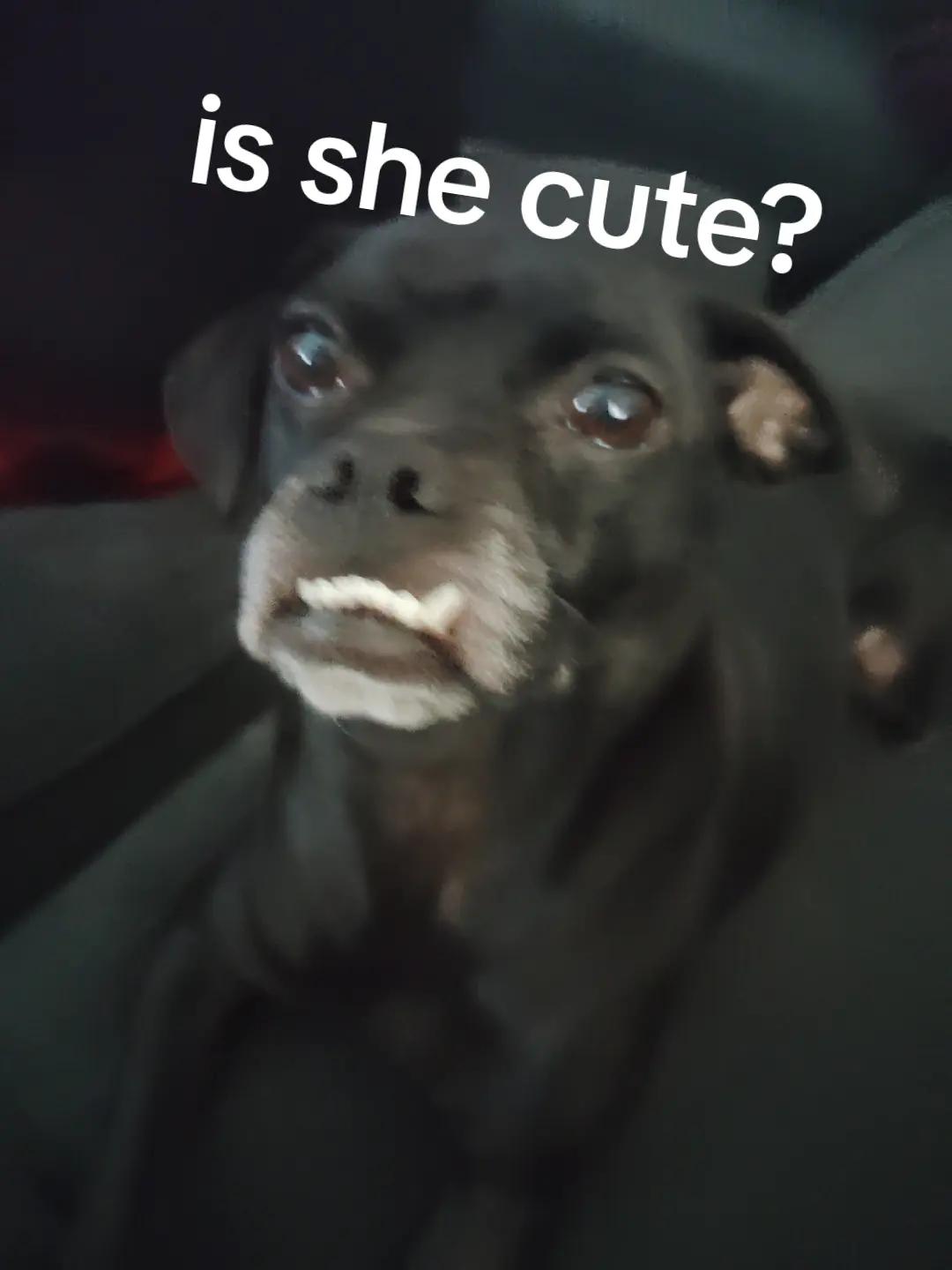 @Sku11