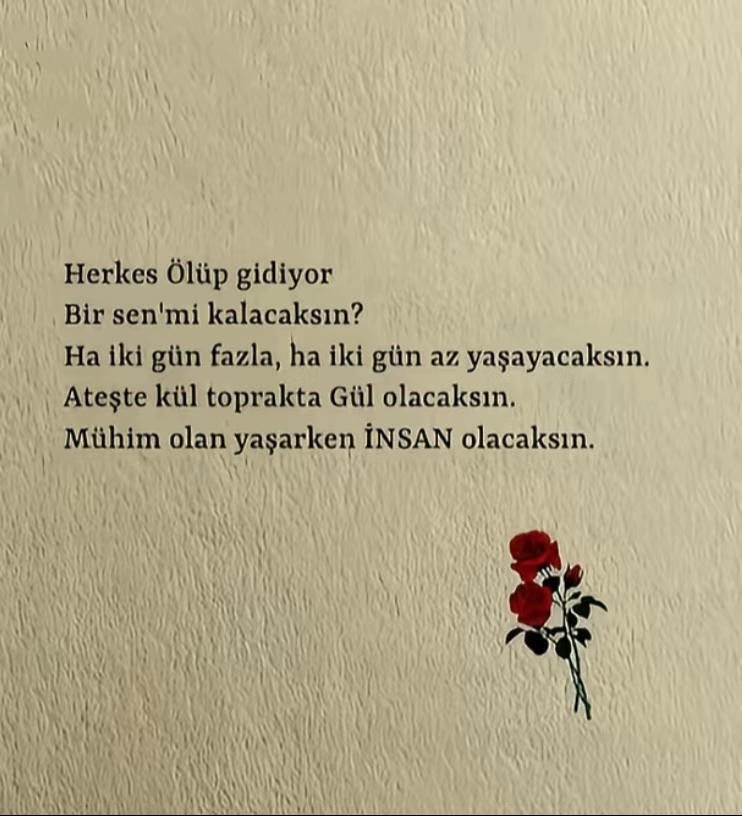 @Cafer kara 36