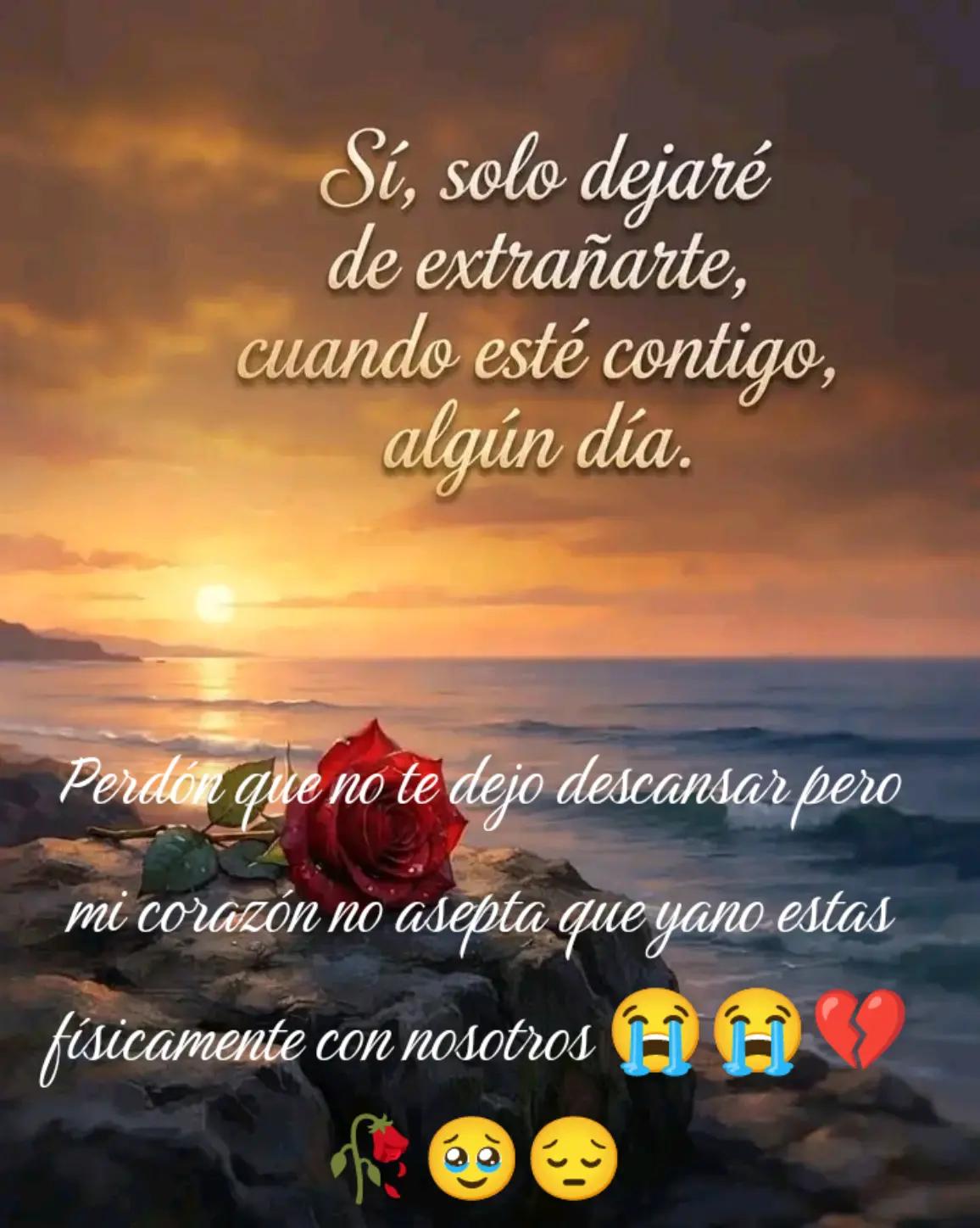 @🎲 Melendrez🇬🇹