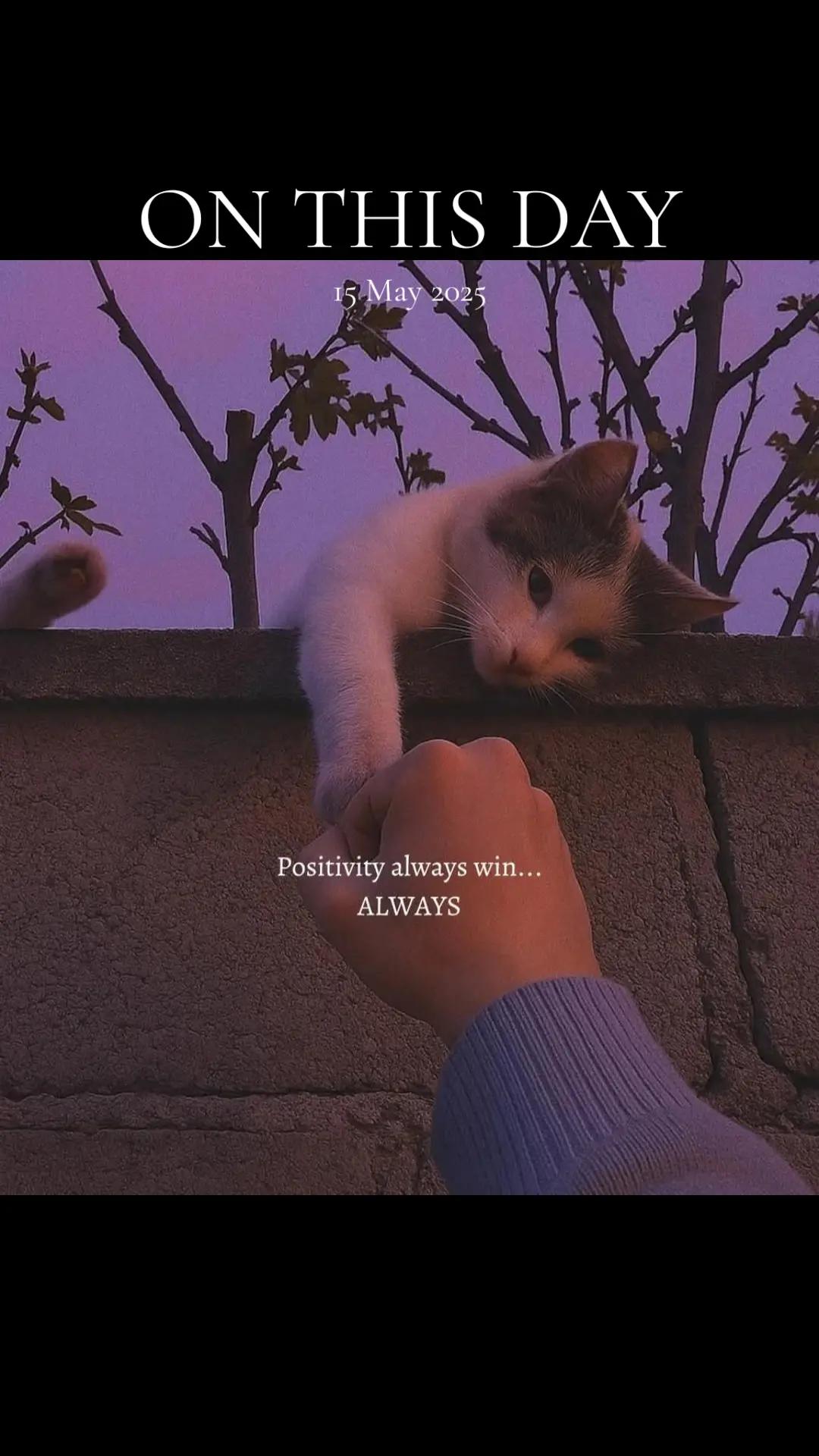 @Jojo