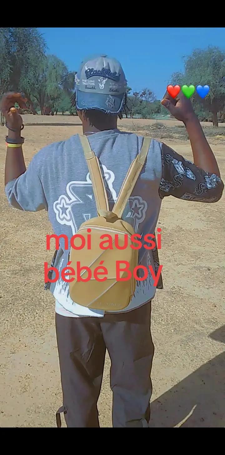 @Lowel Ba