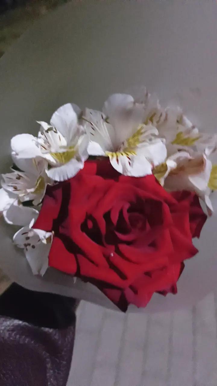 @Наталья 💫💫💫💫💫💫💫🌸🌸🌸